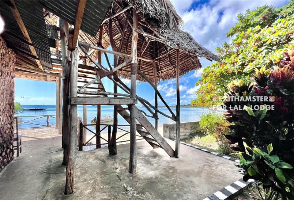 Lala Lodge Pemba Zanzibar Mgini Kültér fotó