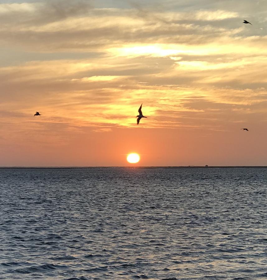 Lala Lodge Pemba Zanzibar Mgini Kültér fotó